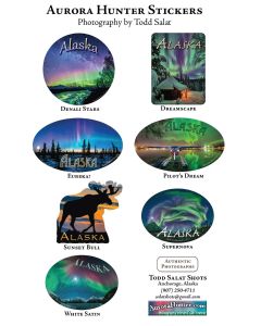 Auror Hunter Stickers